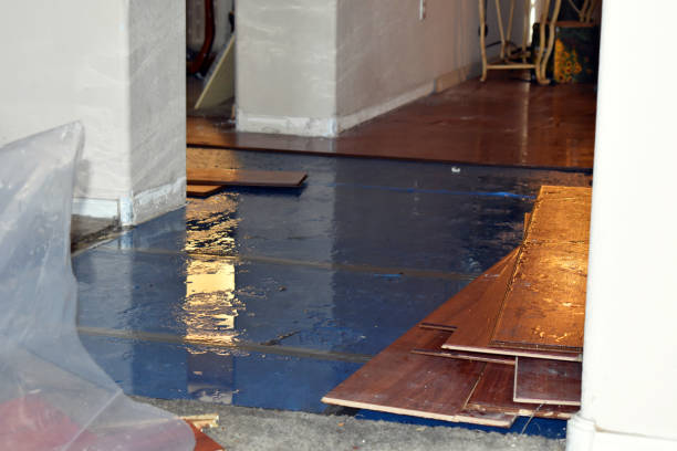 Professional Flood Damage Repair technician working in Leonard, MI